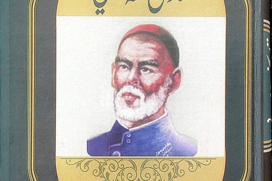 «تارىخى ھەمىدى»دىن قالغان ئىسىملار